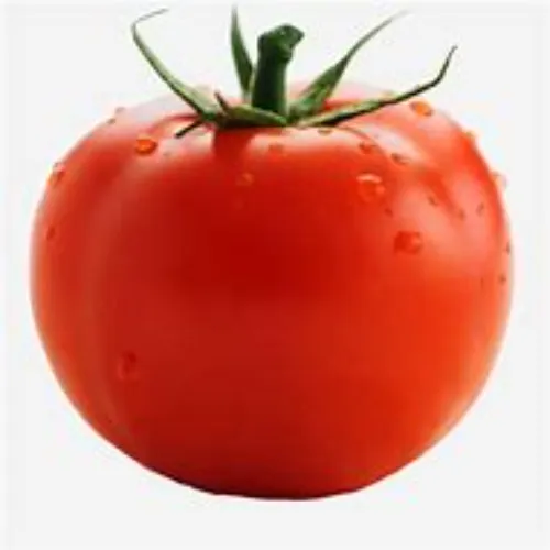 Tomato
